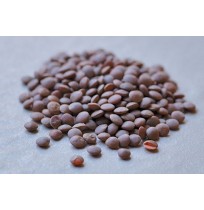 Masoor (whole  Lentil with grain cover)